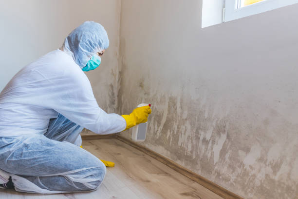 Mold Remediation specialist working in Brentwood